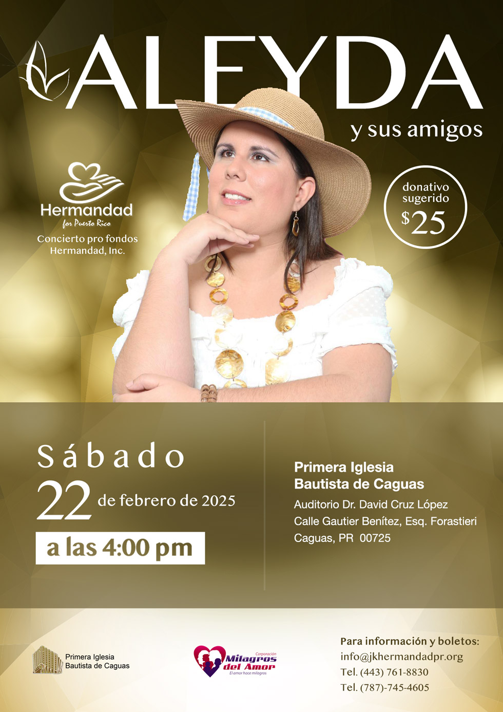 Aleyda y sus amigos - poster image