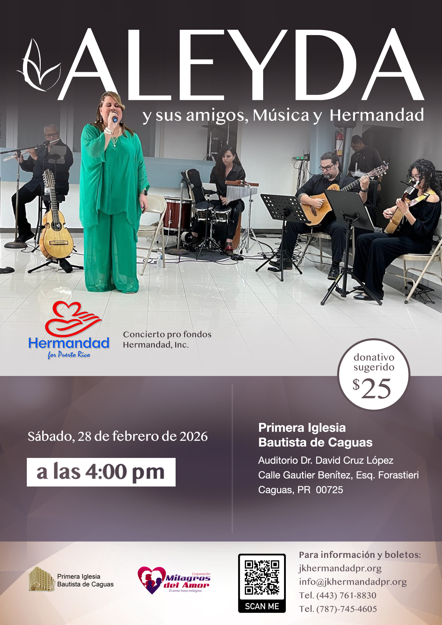 Aleyda y sus amigos - poster image