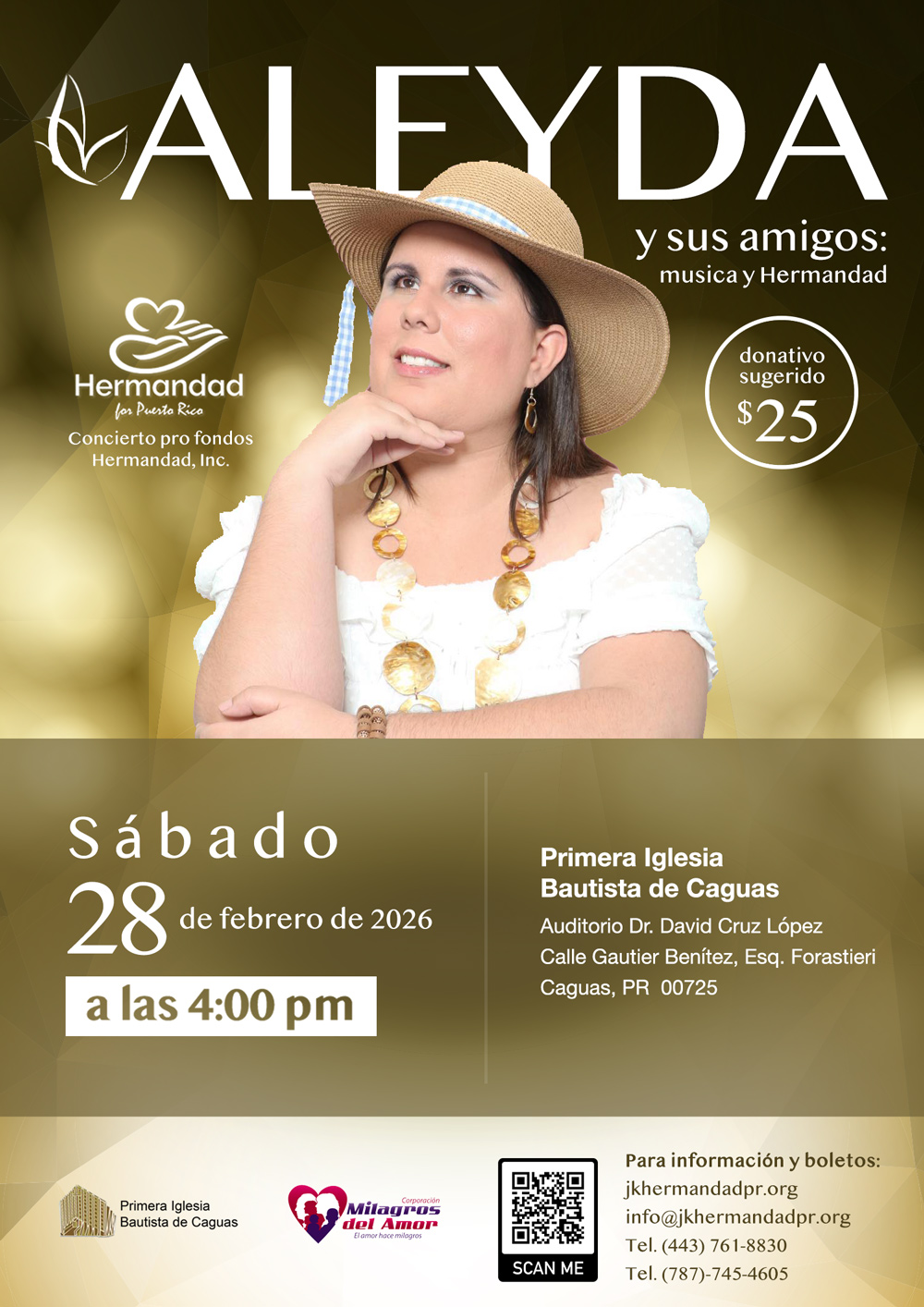 Aleyda y sus amigos - poster image