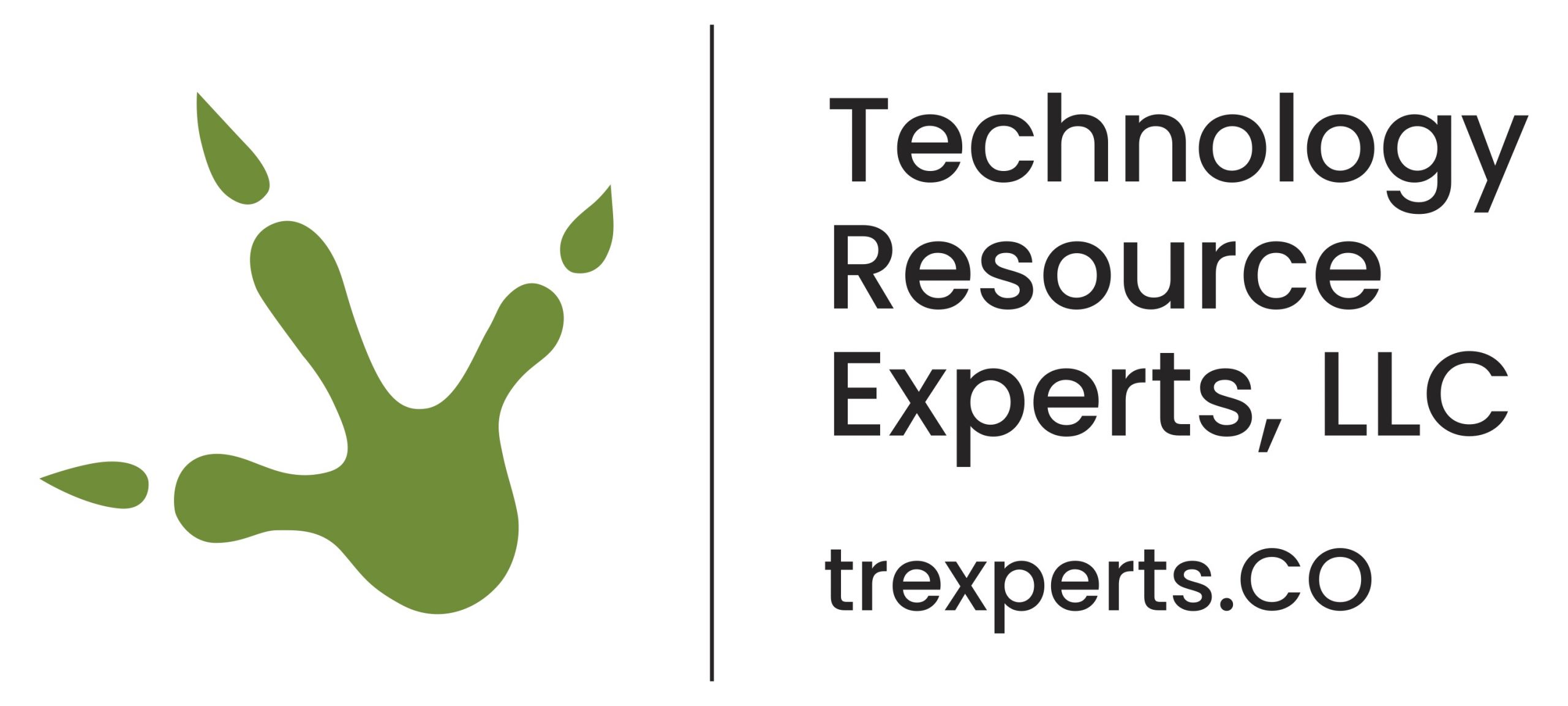 Technology Resource Experts, LLC Logo